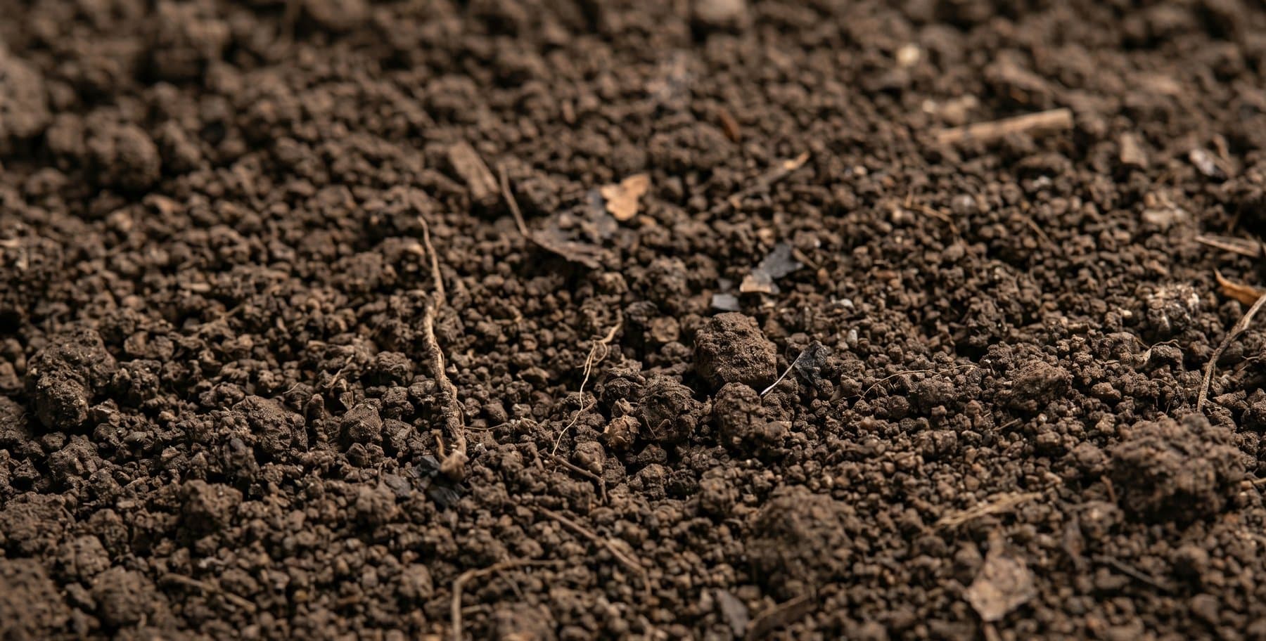 Dark screened topsoil